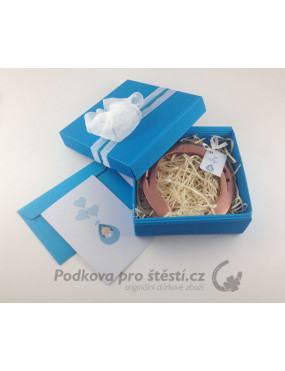 Dárkový balíček s podkovou + PŘÁNÍ,  k narození miminka / HOLKA / KLUK