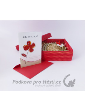 Dárkový balíček s podkovou + PŘÁNÍ, krabička 3D VLNA