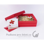 Dárkový balíček s podkovou + PŘÁNÍ, krabička 3D VLNA