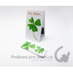 Magnetická záložka sada malá+velká, čtyřlístek pro štěstí