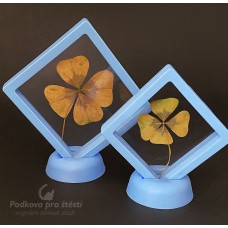 Krabička s PRAVÝM čtyřlístkem, světle modrá