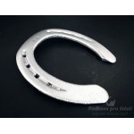 Podkova – Aluminium, 55