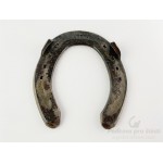 Podkova - Bezbarvý lak, 189