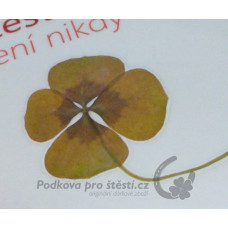 Laminovací fólie - lesklá