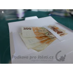 Přebal na peníze / poukaz, žabák