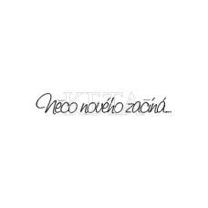 315 - něco nového začíná